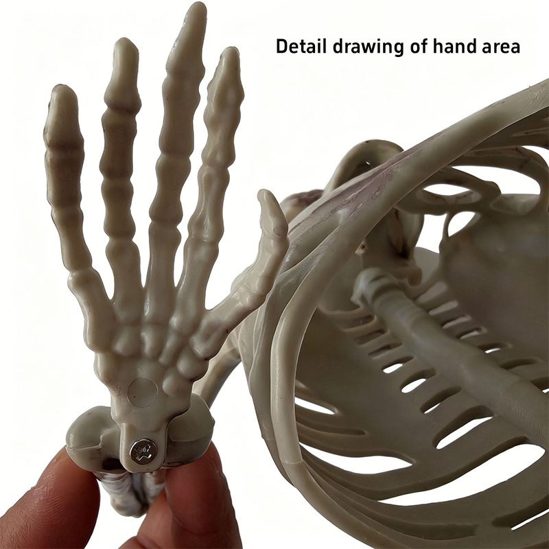 ของตกแต่งหัวกะโหลกโครงกระดูกคร - Halloween Skeleton Decoration บทวิจารณ์และราคา